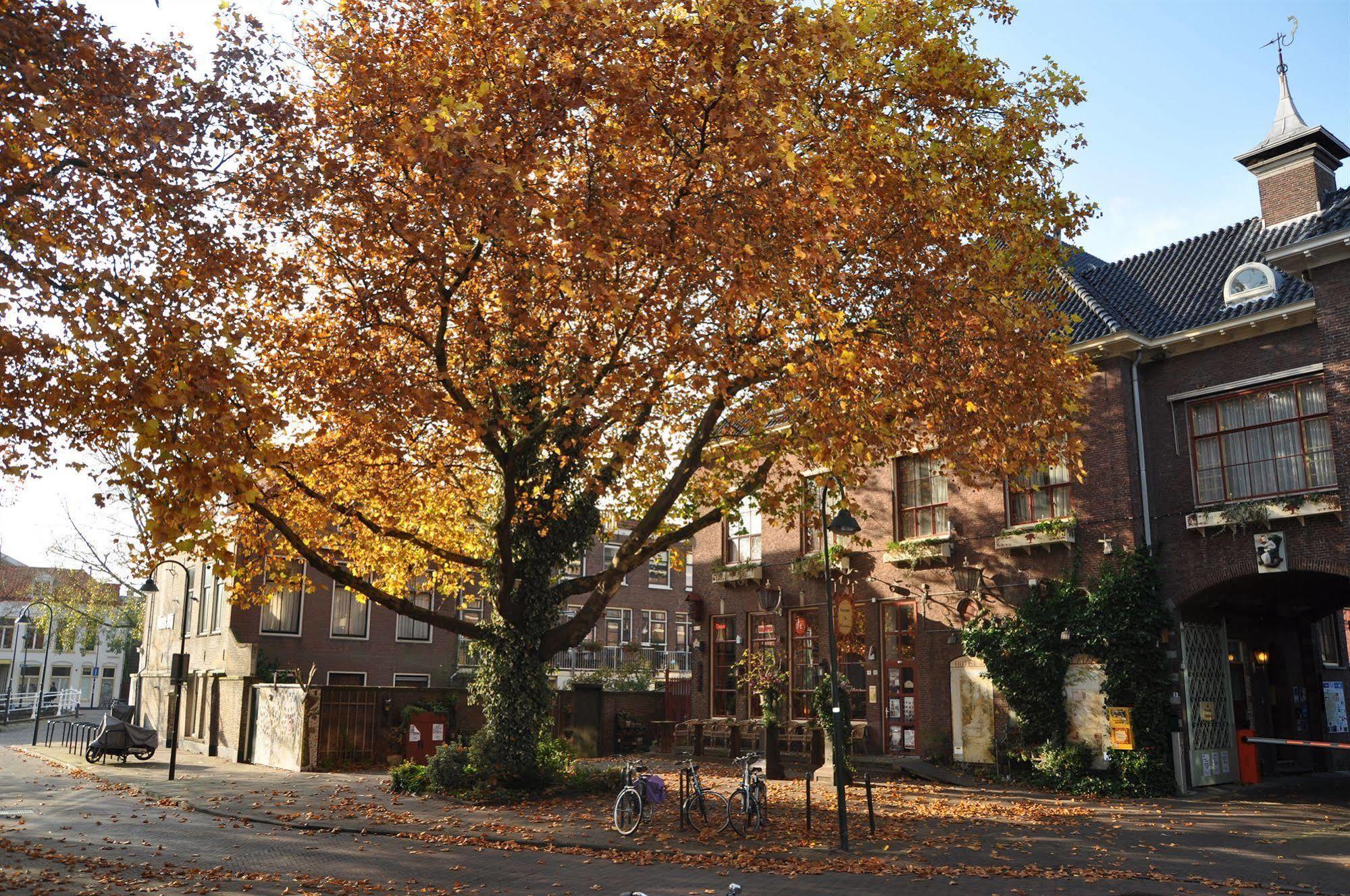 Hotel De Plataan Delft Centrum Dış mekan fotoğraf